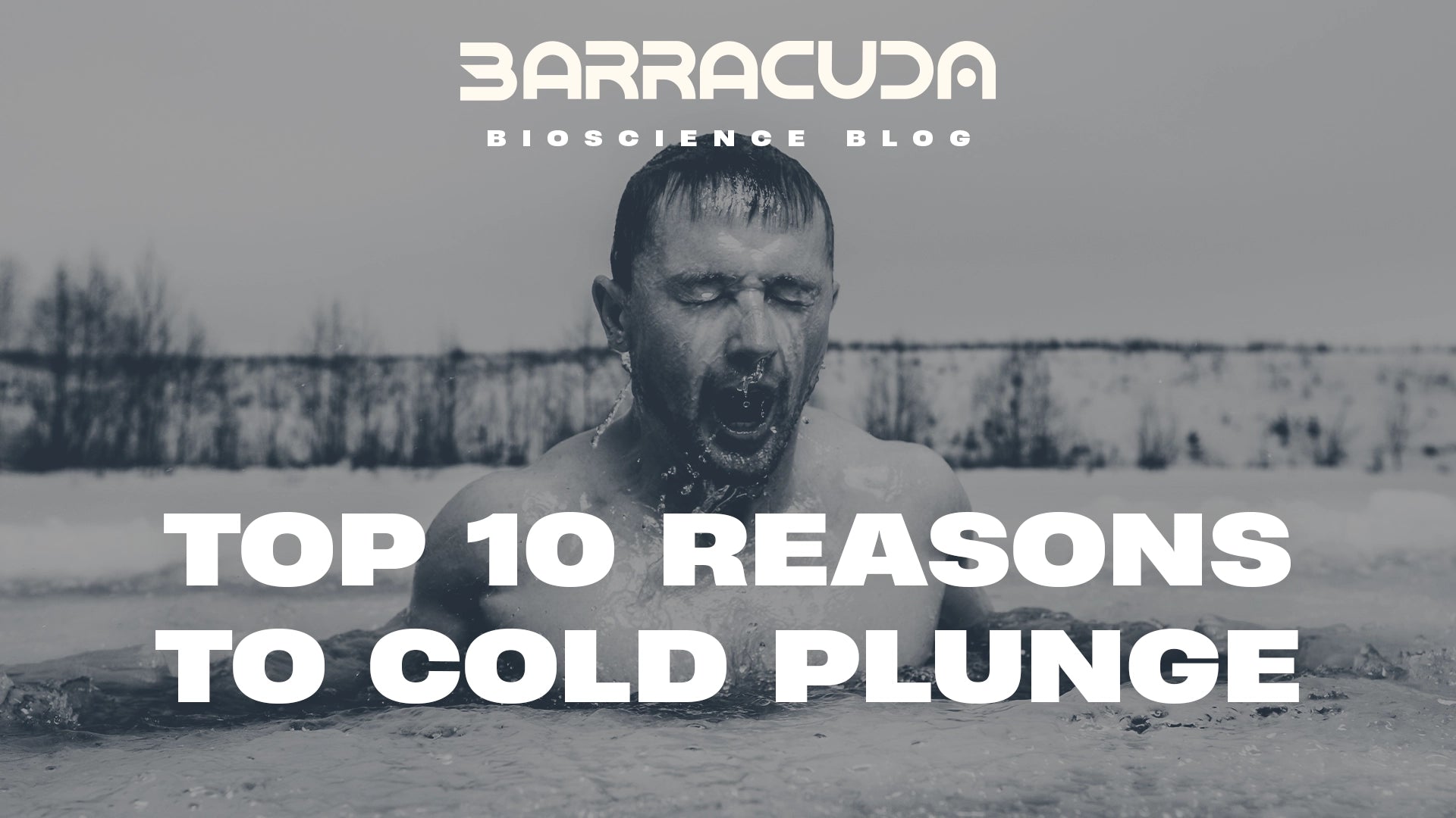 The Top 10 Reasons To Cold Plunge