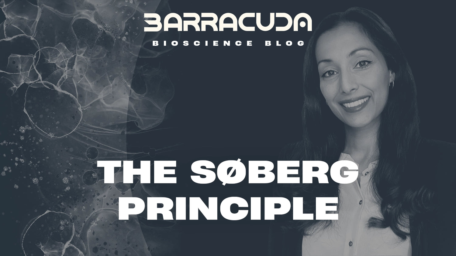 The Søberg Principle