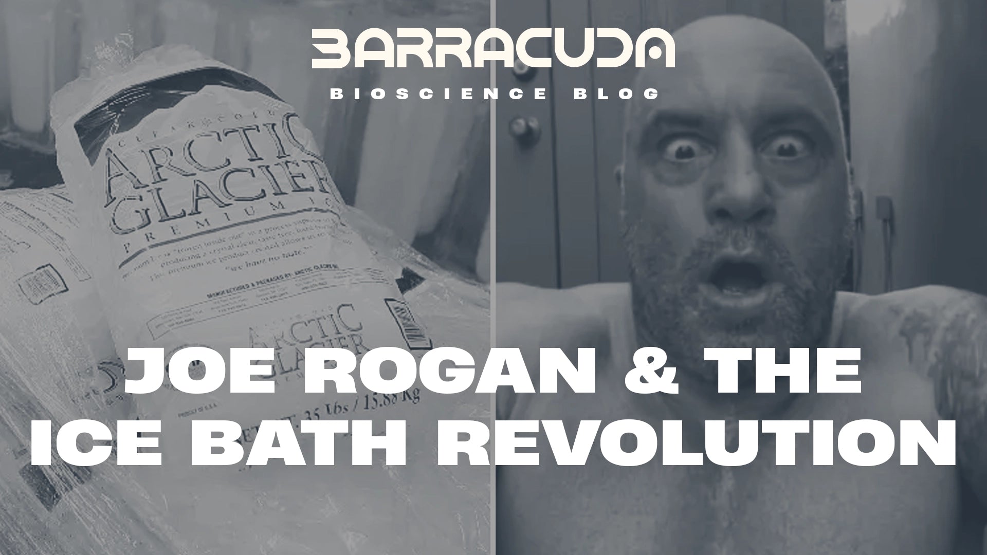 Joe Rogan & The Cold Plunge Revolution